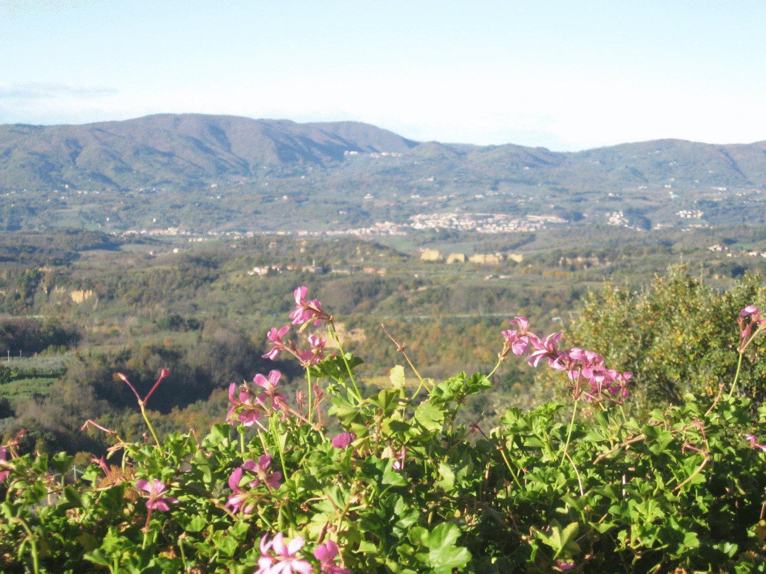 Agriturismo La Capitata Pian Di Sco Экстерьер фото