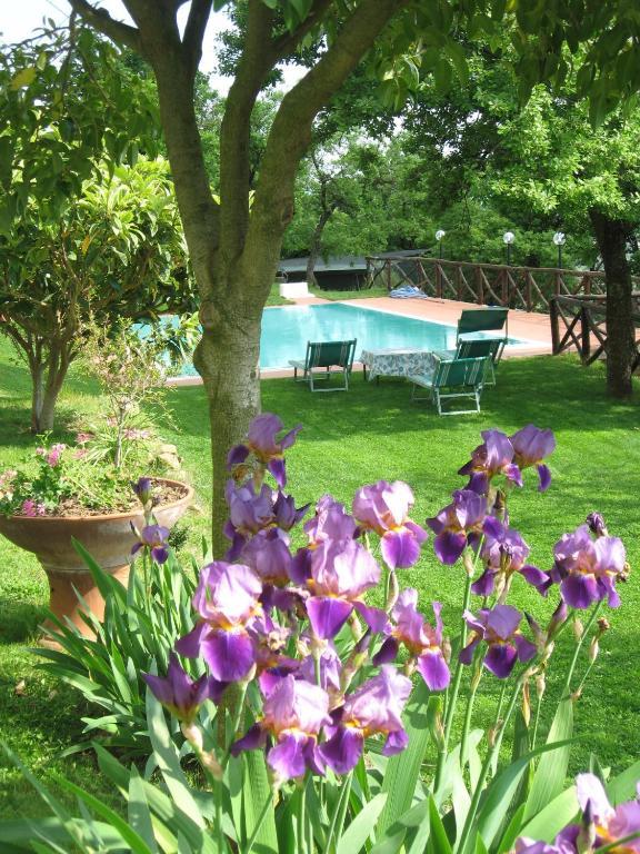 Agriturismo La Capitata Pian Di Sco Экстерьер фото